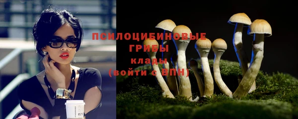 гидра Ельня