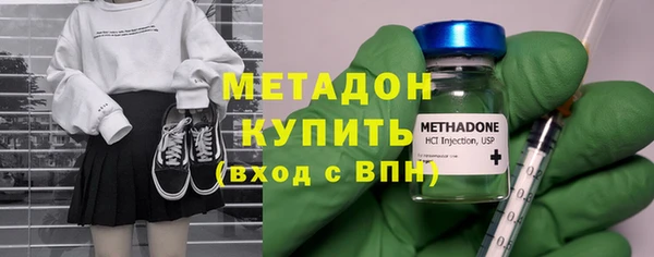 гидра Ельня