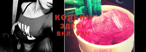 гидра Ельня
