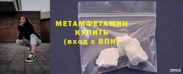 гидра Ельня