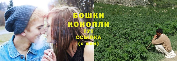 гидра Ельня