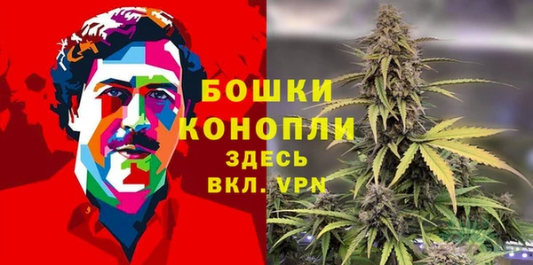 метадон Елизово