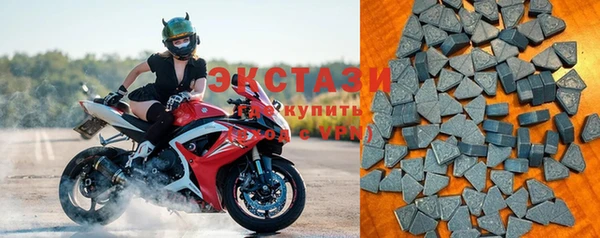 гидра Ельня