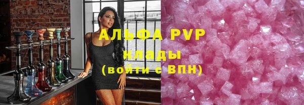 гидра Ельня