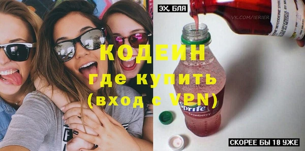 гидра Ельня