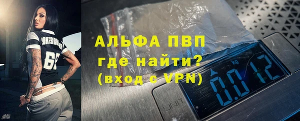 гидра Ельня