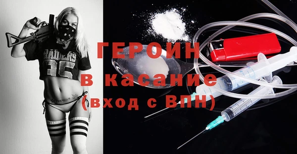 гидра Ельня