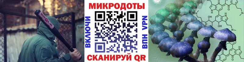 Купить закладки  Саров  Галлюциногенные грибы Cubensis 